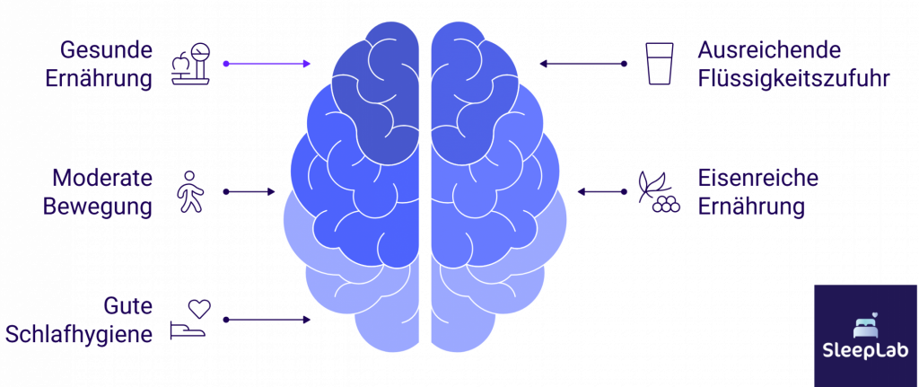 Illustration eines Gehirns mit sechs Pfeilen, die auf Massnahmen gegen menstruationsbedingte Müdigkeit zeigen: gesunde Ernährung, Bewegung, gute Schlafhygiene, ausreichend Flüssigkeit, eisenreiche Kost. SleepLab-Logo unten rechts.