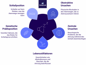 Übersichtsgrafik zu den häufigsten Ursachen von Schlafapnoe, darunter genetische Veranlagung, Lebensstilfaktoren, Schlafposition, obstruktive und zentrale Ursachen. Keyword: Schlafapnoe Ursachen.