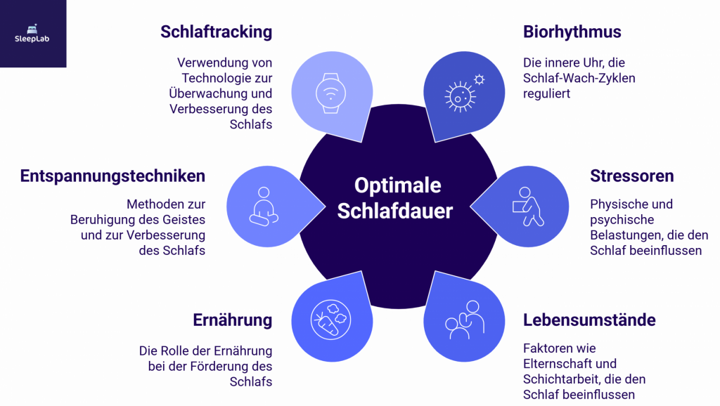 Kreisgrafik zu Faktoren, die die optimale Schlafdauer beeinflussen: Biorhythmus, Stressoren, Lebensumstände, Ernährung, Entspannungstechniken und Schlaftracking. Die Darstellung zeigt, wie verschiedenste Aspekte den Schlafbedarf von Menschen in der Schweiz individuell beeinflussen.