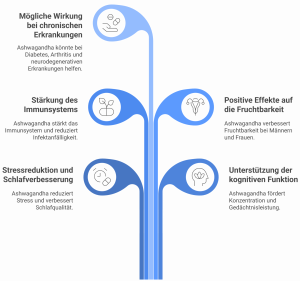 Grafik in Pflanzenform zeigt sechs Vorteile von Ashwagandha: Stressabbau, Schlafverbesserung, Immunsystem-Stärkung, kognitive Unterstützung, positive Wirkung auf Fruchtbarkeit und mögliche Hilfe bei chronischen Erkrankungen.