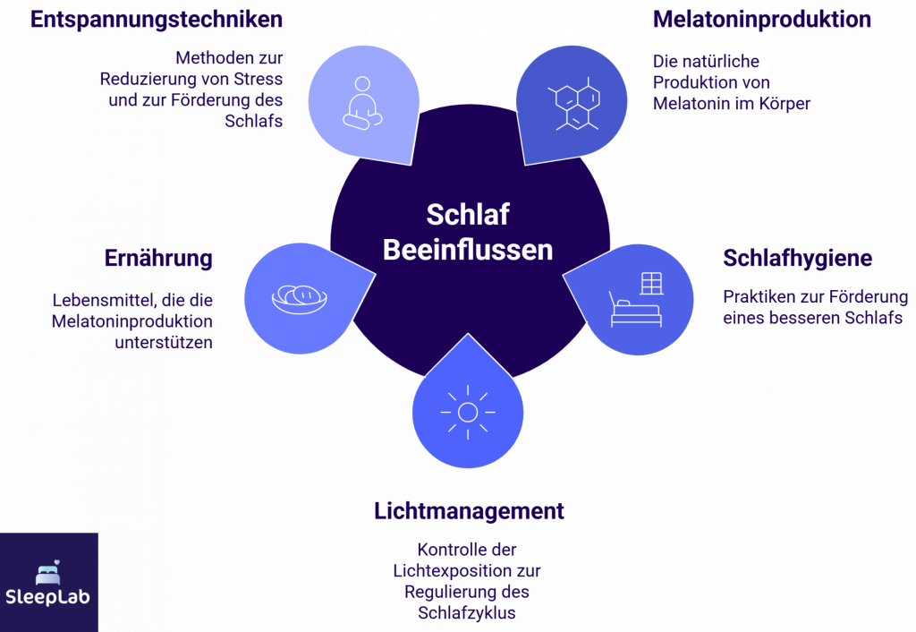 Kreisgrafik zeigt sechs Faktoren, die den Schlaf beeinflussen: Melatoninproduktion, Schlafhygiene, Lichtmanagement, Ernährung, Entspannungstechniken und Stressbewältigung. Die Darstellung veranschaulicht, wie Menschen in der Schweiz durch gezielte Massnahmen ihre Schlafqualität verbessern können.