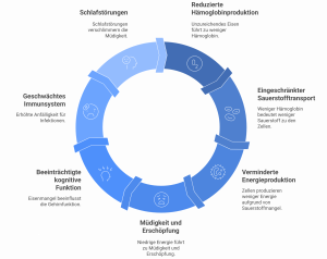 Kreisgrafik zum Teufelskreis von Eisenmangel und Müdigkeit: Schlafstörungen, reduzierte Hämoglobinproduktion, eingeschränkter Sauerstofftransport, verminderte Energieproduktion, Erschöpfung, kognitive Beeinträchtigungen und ein geschwächtes Immunsystem – als geschlossener Kreislauf dargestellt.