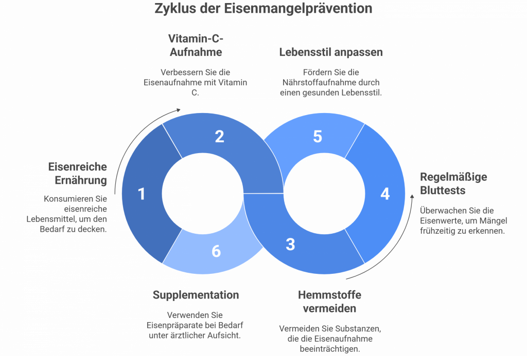 Zwillingskreis-Grafik mit sechs Schritten zur Vorbeugung von Eisenmangel: eisenreiche Ernährung, Vitamin-C-Aufnahme, Hemmstoffe vermeiden, Blutwerte kontrollieren, Lebensstil anpassen und bei Bedarf Eisen supplementieren – zur langfristigen Prävention visualisiert.