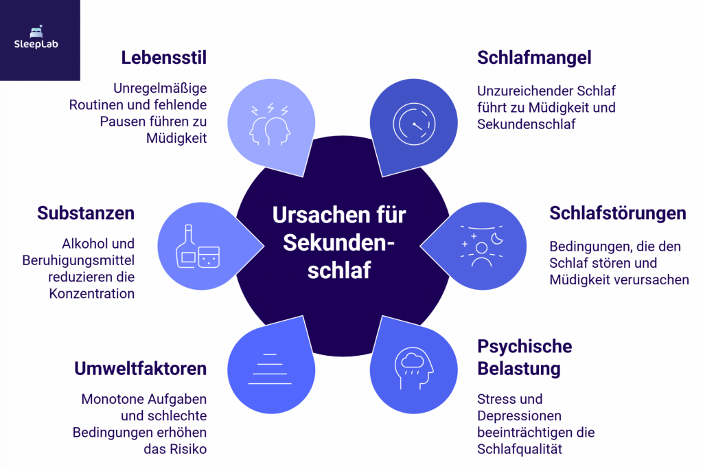 Kreisgrafik mit sechs Hauptursachen für Sekundenschlaf: Schlafmangel, Schlafstörungen, psychische Belastung, Umweltfaktoren, Substanzen und ungesunder Lebensstil. Die Darstellung zeigt, wie Müdigkeit in der Schweiz durch unterschiedliche Einflüsse entstehen kann.