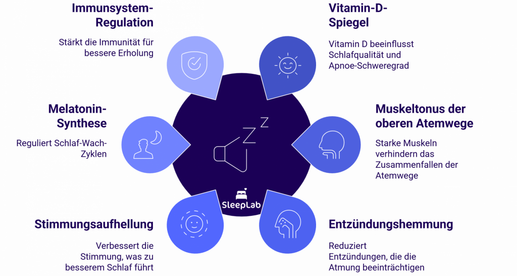 Infografik zu biologischen Faktoren, die den Verlauf der Schlafapnoe beeinflussen können – darunter Vitamin-D-Spiegel, Melatoninsynthese, Immunfunktion, Muskeltonus und Entzündungen. Keyword: Schlafapnoe und Vitamin D.