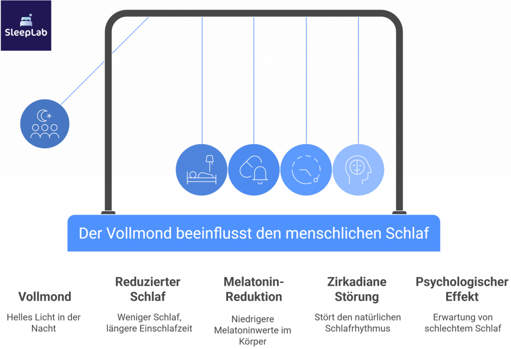 Grafik zeigt, wie der Vollmond den Schlaf beeinflusst – über Licht, reduzierte Melatoninwerte, zirkadiane Störungen und psychologische Effekte. Relevantes Thema für Menschen mit Schlafproblemen bei Vollmond in der Schweiz.