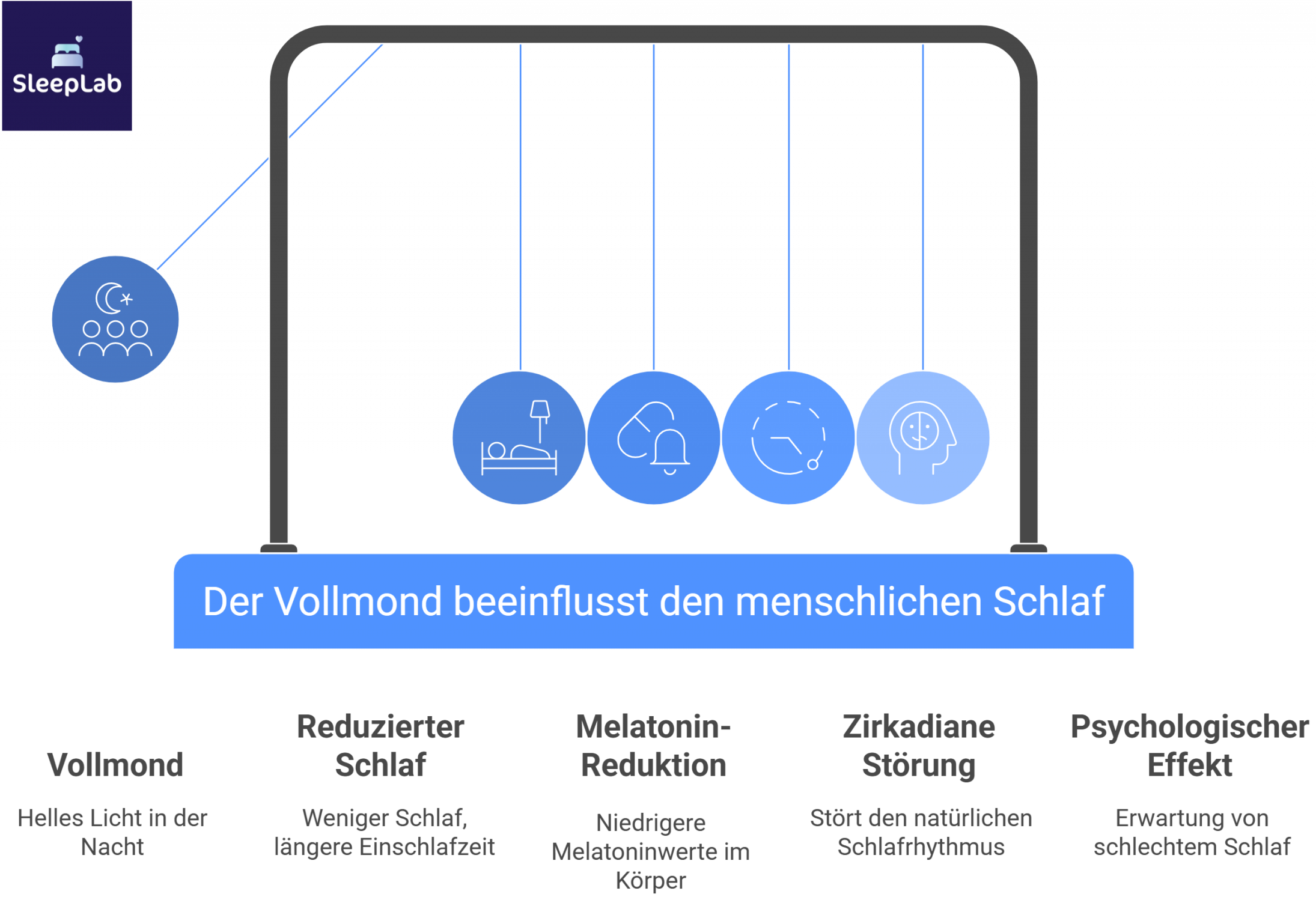 Grafik zeigt, wie der Vollmond den Schlaf beeinflusst – über Licht, reduzierte Melatoninwerte, zirkadiane Störungen und psychologische Effekte. Relevantes Thema für Menschen mit Schlafproblemen bei Vollmond in der Schweiz.