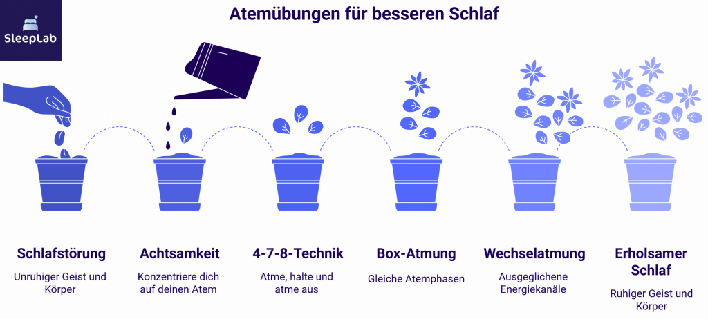 Illustration zeigt den Weg von Schlafstörungen hin zu erholsamem Schlaf anhand von Atemübungen wie Achtsamkeit, 4-7-8-Technik, Box-Atmung und Wechselatmung. Die Phasen werden symbolisch durch wachsende Pflanzen in Töpfen dargestellt.