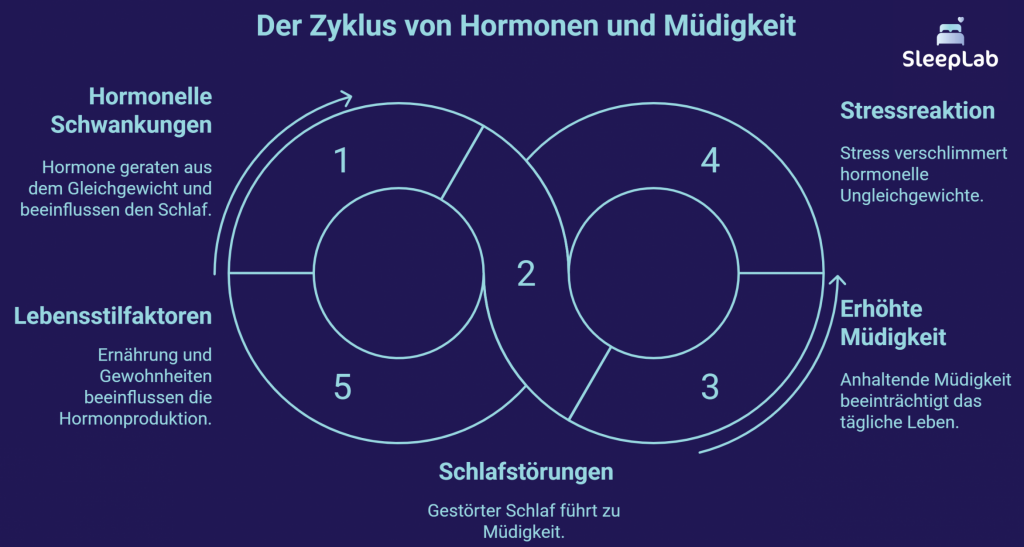 Kreisdiagramm mit fünf Phasen, das hormonelle Schwankungen, Stressreaktionen, Müdigkeit, Schlafstörungen und Lebensstilfaktoren als Teufelskreis zeigt. Dieses Modell erklärt, wie hormonelle Ungleichgewichte den Schlaf beeinflussen können – besonders relevant bei Schlafstörungen in der Schweiz.