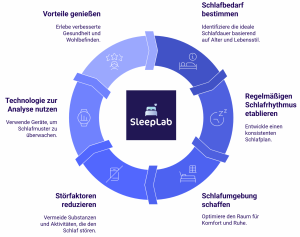 Kreisgrafik zum Zyklus der Schlafoptimierung – von Schlafbedarf bestimmen über Störfaktoren reduzieren bis zu Vorteilen wie besserer Gesundheit. Für alle, die ihren gesunden Schlaf in der Schweiz verbessern möchten.