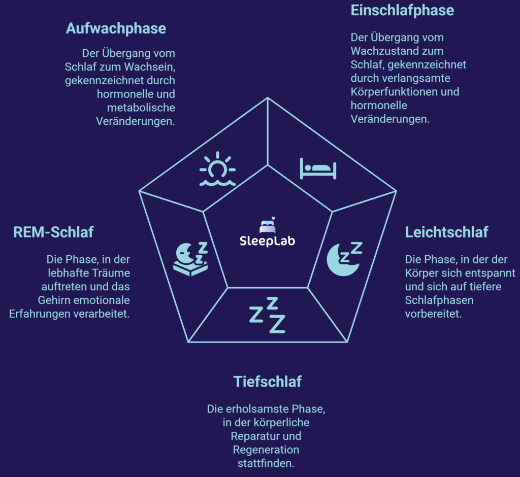 Illustration der fünf Schlafphasen – Einschlafphase, Leichtschlaf, Tiefschlaf, REM-Schlaf und Aufwachphase – als Grundlage für gesunden Schlaf in der Schweiz verständlich erklärt.