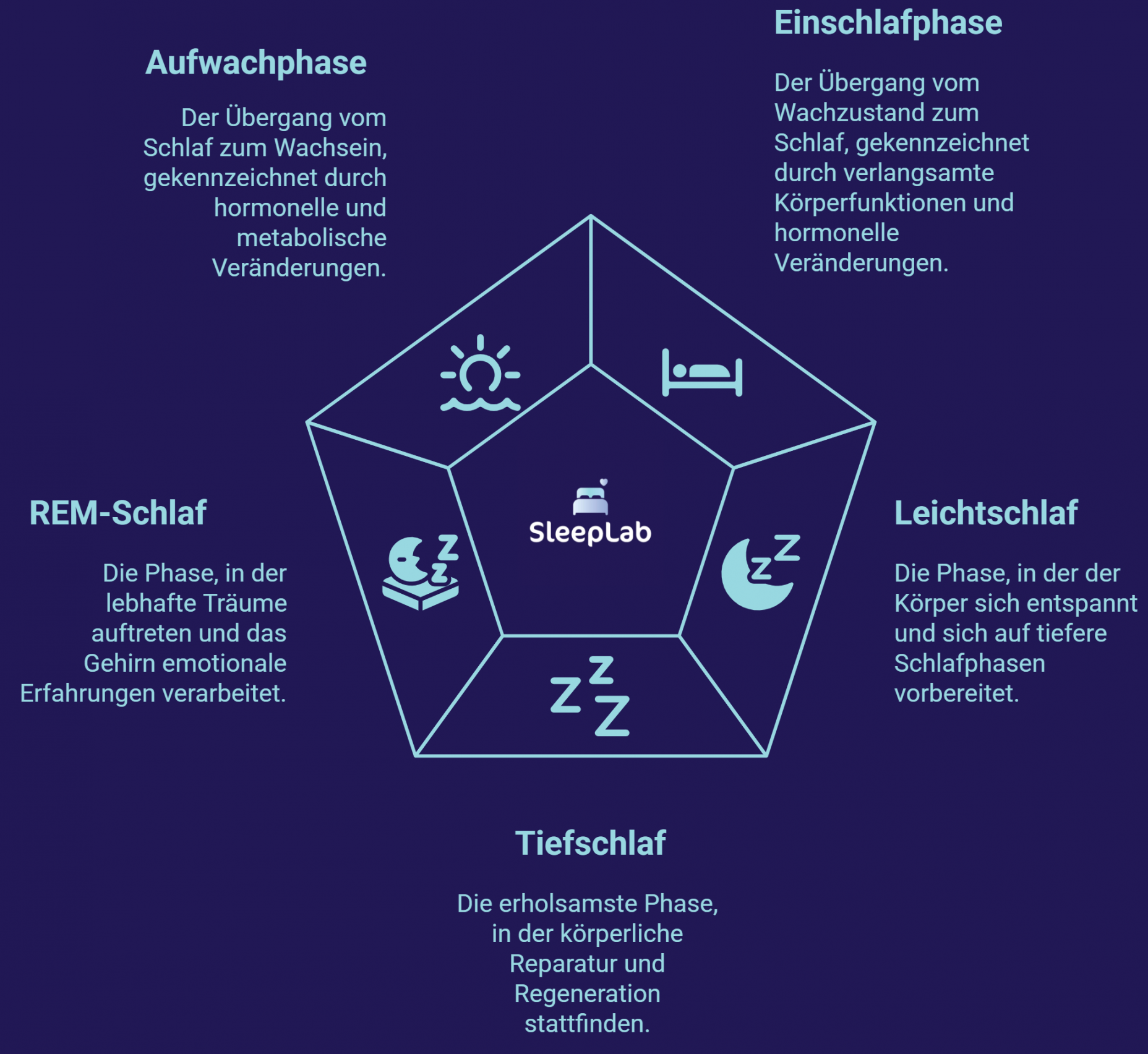 Illustration der fünf Schlafphasen – Einschlafphase, Leichtschlaf, Tiefschlaf, REM-Schlaf und Aufwachphase – als Grundlage für gesunden Schlaf in der Schweiz verständlich erklärt.